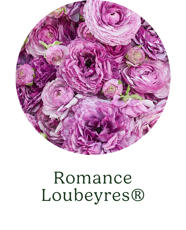Romance Loubeyres