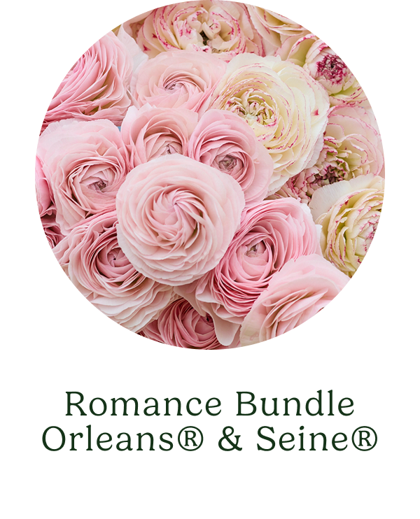 Orleans + Seine Bundle