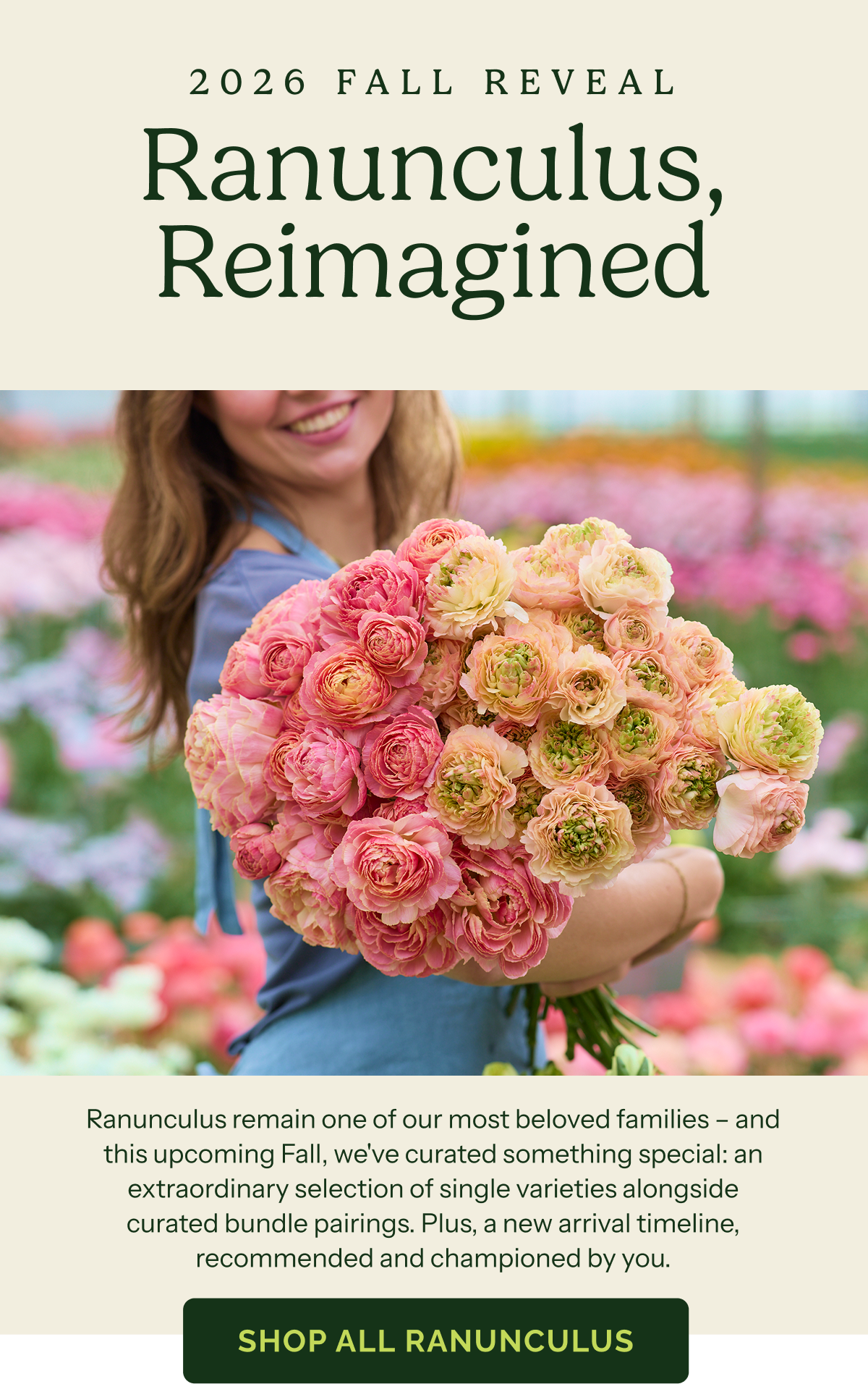 2026 Fall Reveal Ranunculus, Reimagined – Ranunculus remain one of our most beloved families – and this upcoming Fall, we've curated something special: an extraordinary selection of single varieties alongside curated bundle pairings. Plus, a new arrival timeline, recommended and championed by you.