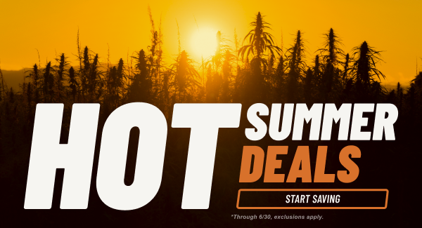 Hot Summer Deals | Start Saving *Exclusions apply, through 6/30
