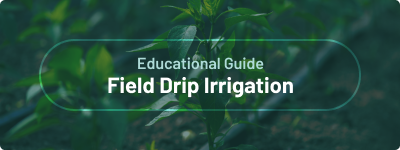 Educational Guide - Field Drip Irrigation