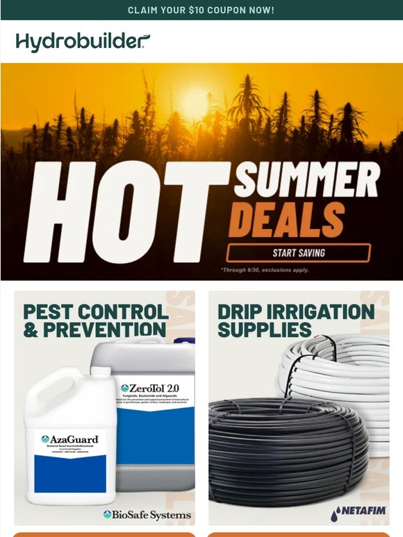 Summer Savings Start Now! ☀️