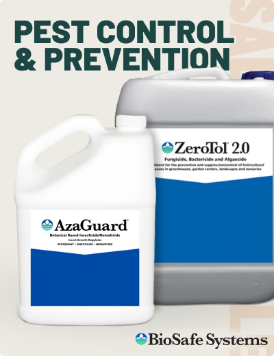 On Sale, apply coupon for discount on pest control and prevention