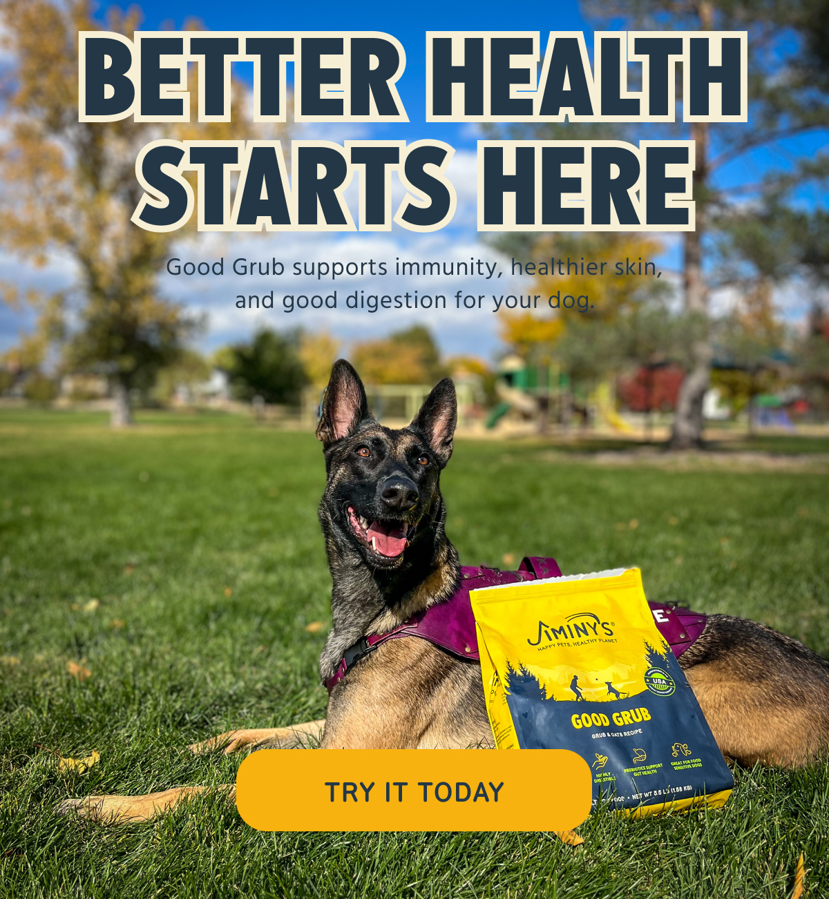 BETTER HEALTH STARTS HERE Good Grub supports immunity, healthier skin, and good digestion for your dog. TRY IT TODAY