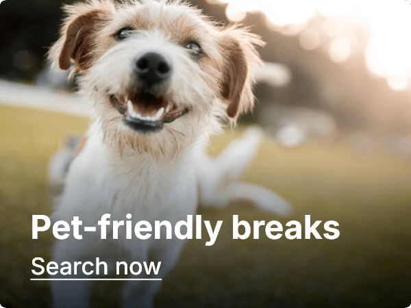 Sale - pet-friendly stays