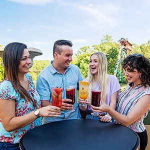 Food & Wine Festival