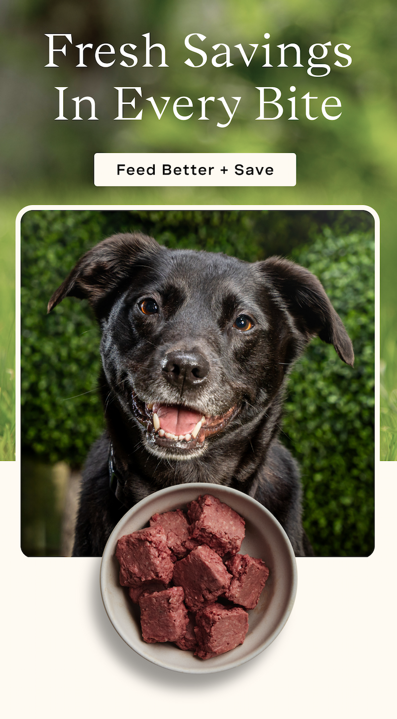 Fresh Savings In Every Bite