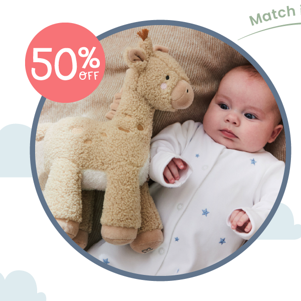 Personalised Giraffe Plush Toy