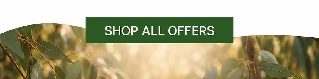 Shop all offers