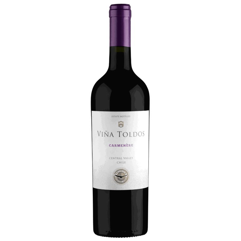 Vinho Tinto Chileno Vina Toldos Carménère