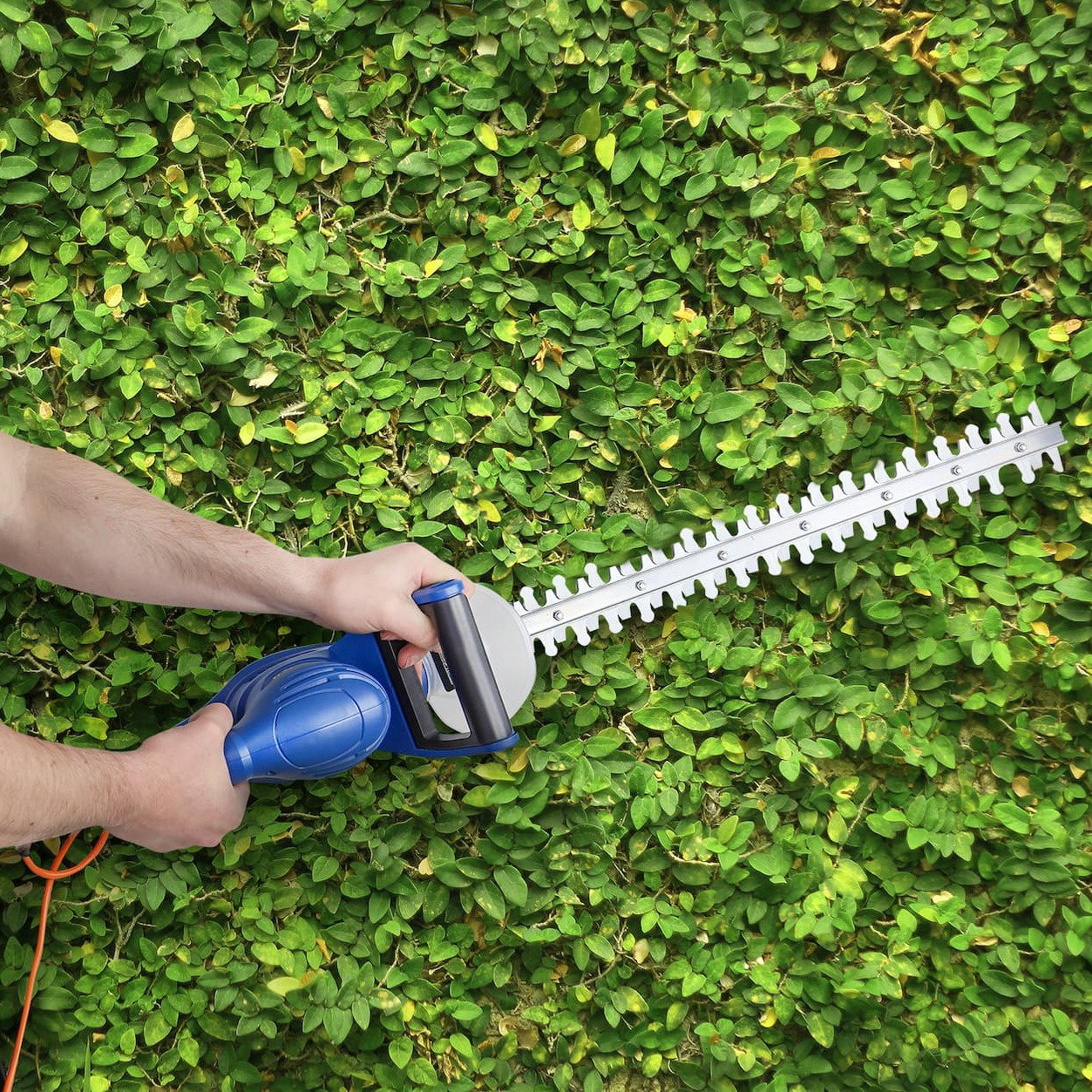 hedge trimmer sale