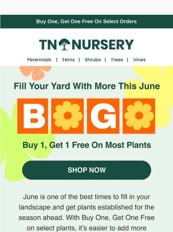 June BOGO: Buy 1, Get 1 Free 🌱