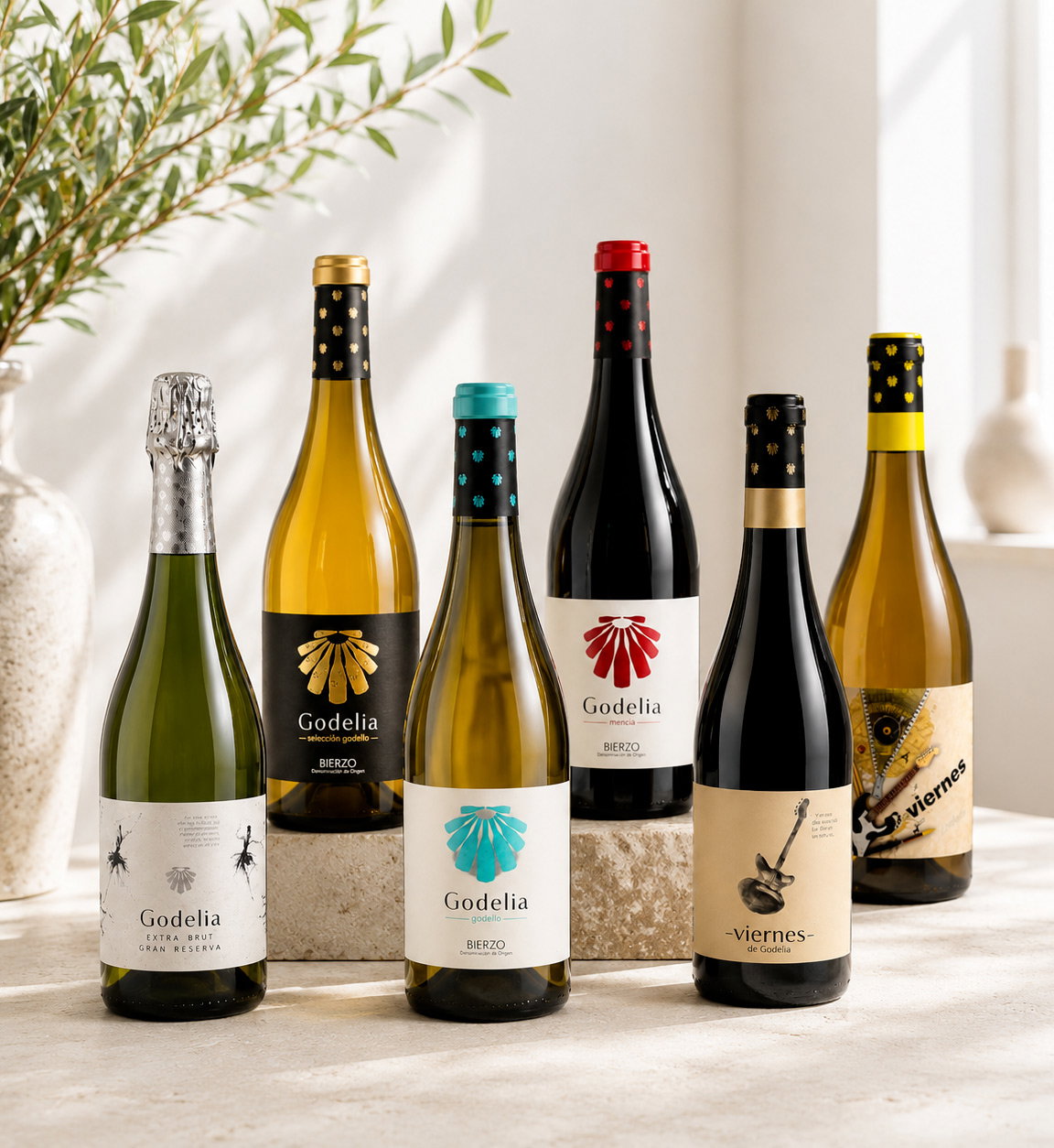 Six Godelia wine bottles (sparkling, white and red) arranged on stone plinths in bright studio setting with plant