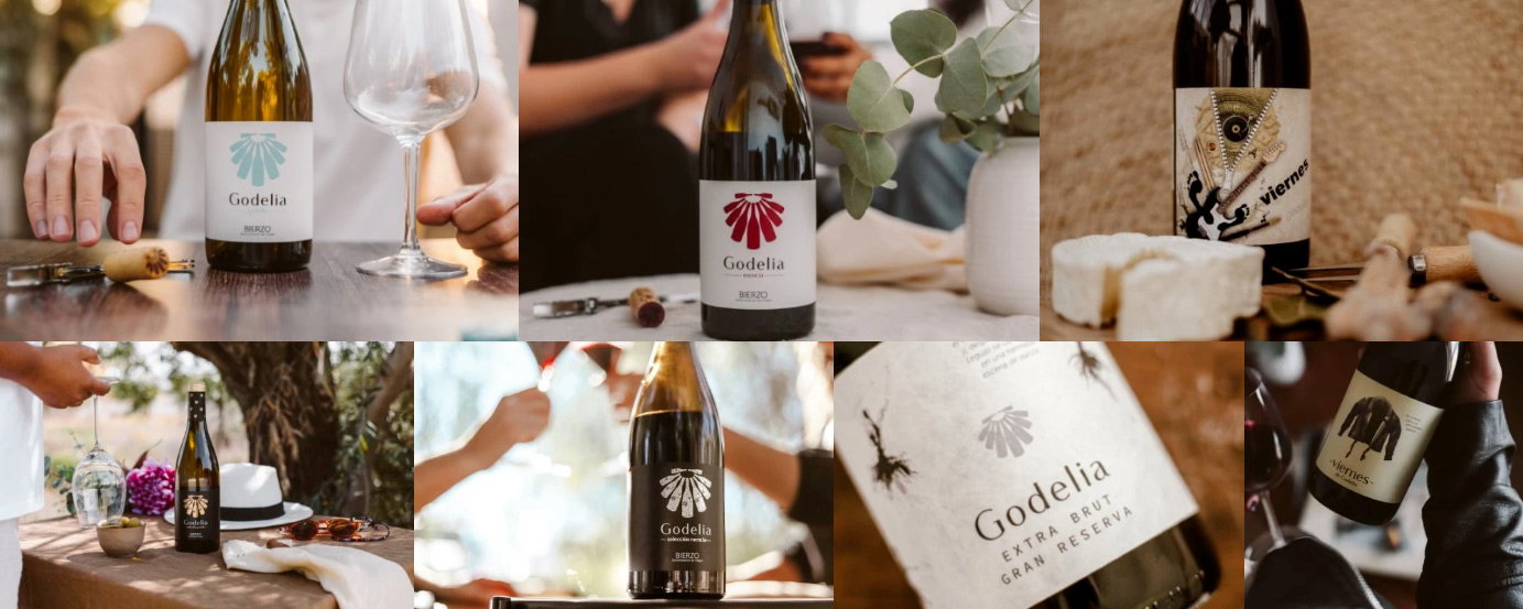 Collage of Godelia wine bottles and glasses in indoor and outdoor scenes with cheese, corks and people enjoying a relaxed picnic