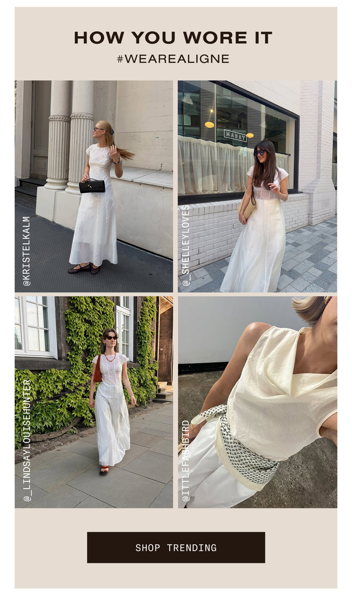 SHOP TRENDING