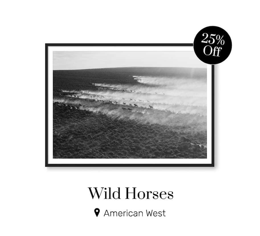 Wild Horses