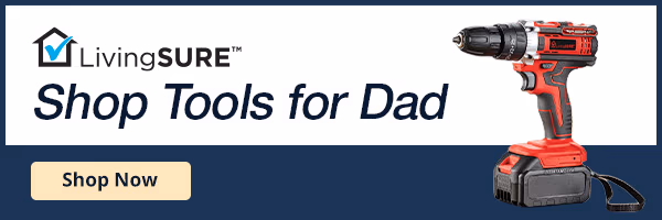 Shop Tools for Dad