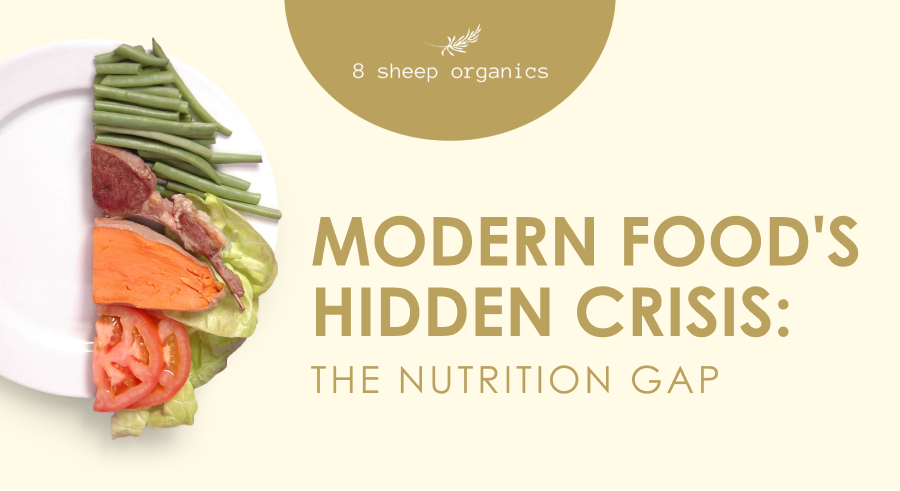 Modern Food's Hidden Crisis: The Nutrition Gap