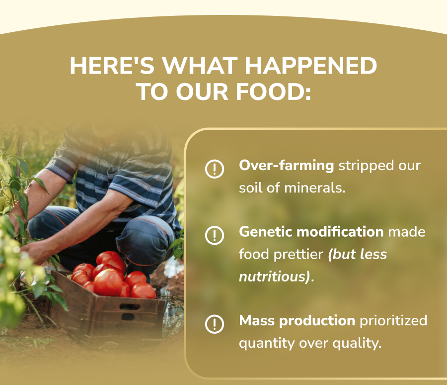Here's what happened to our food:  Over-farming stripped our soil of minerals.  Genetic modification made food prettier (but less nutritious).  Mass production prioritized quantity over quality.
