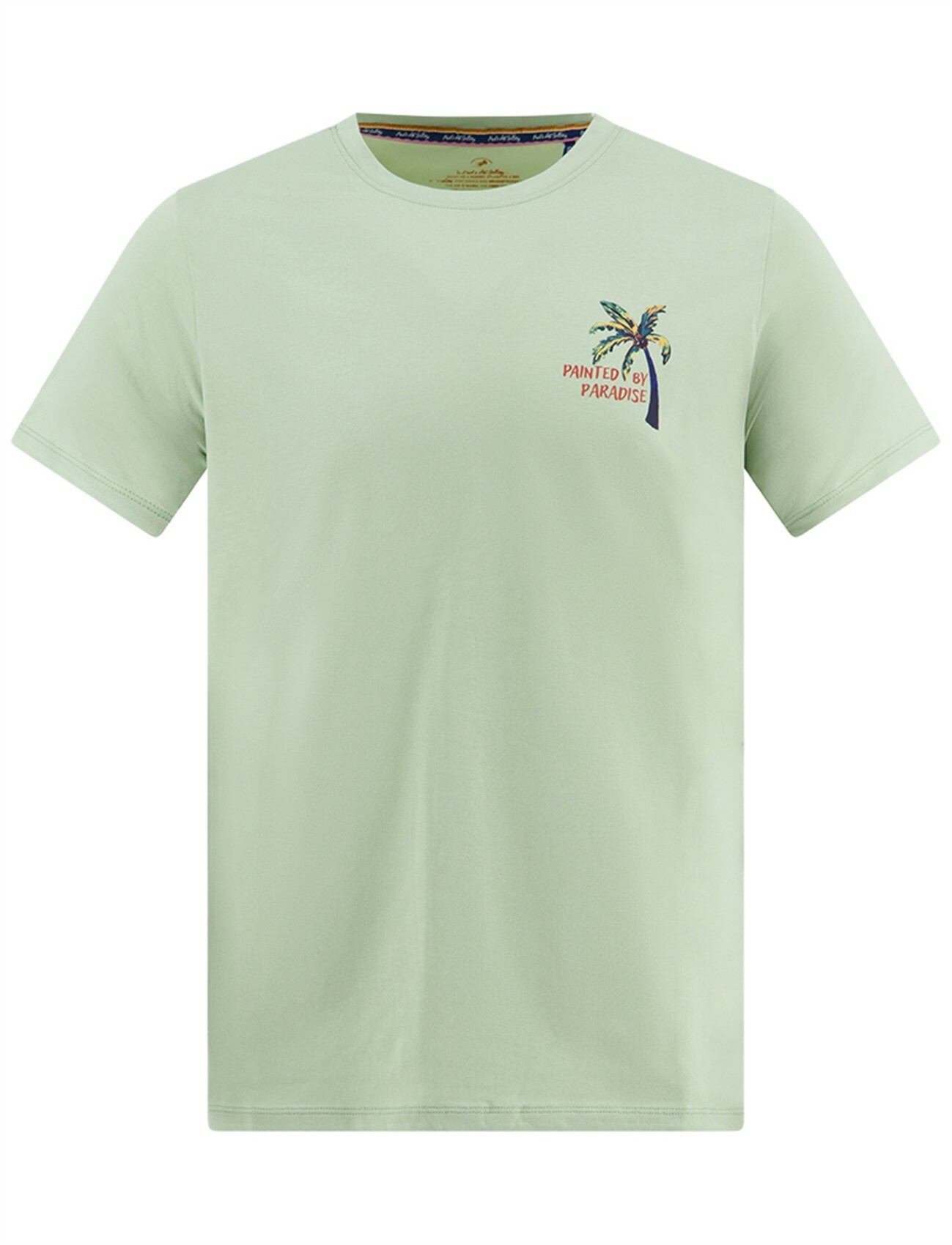 T-shirt met backprint A Fish Named Fred groen 100% katoen