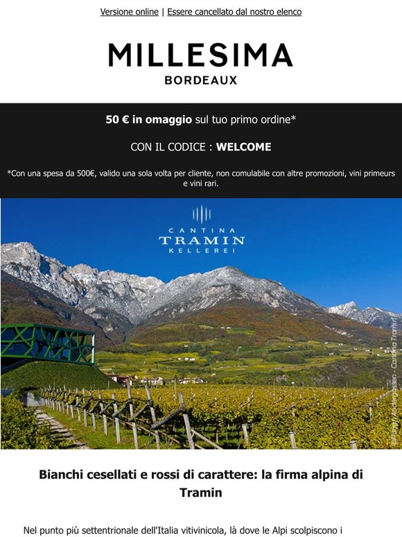 Cantina Tramin: l'eleganza alpina nel cuore dell'Italia