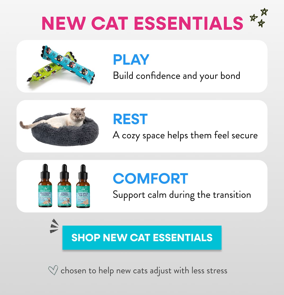 new cat essentials