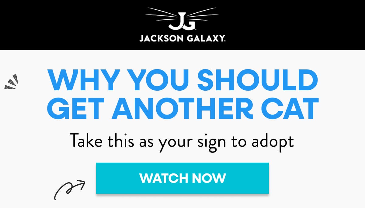 Get more cats