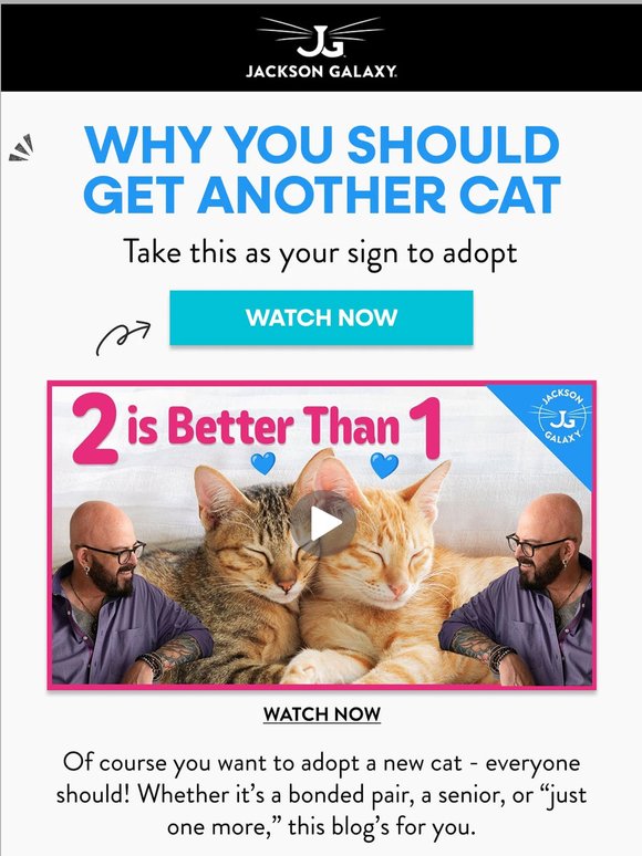 When the Cat Distribution System calls...
