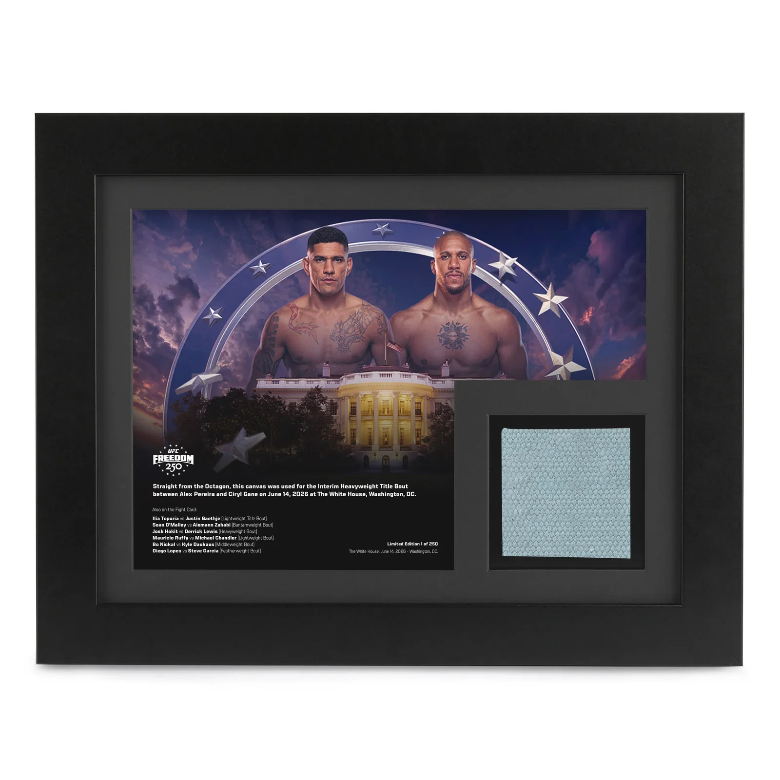 Image of Pereira vs Gane Canvas & Photo