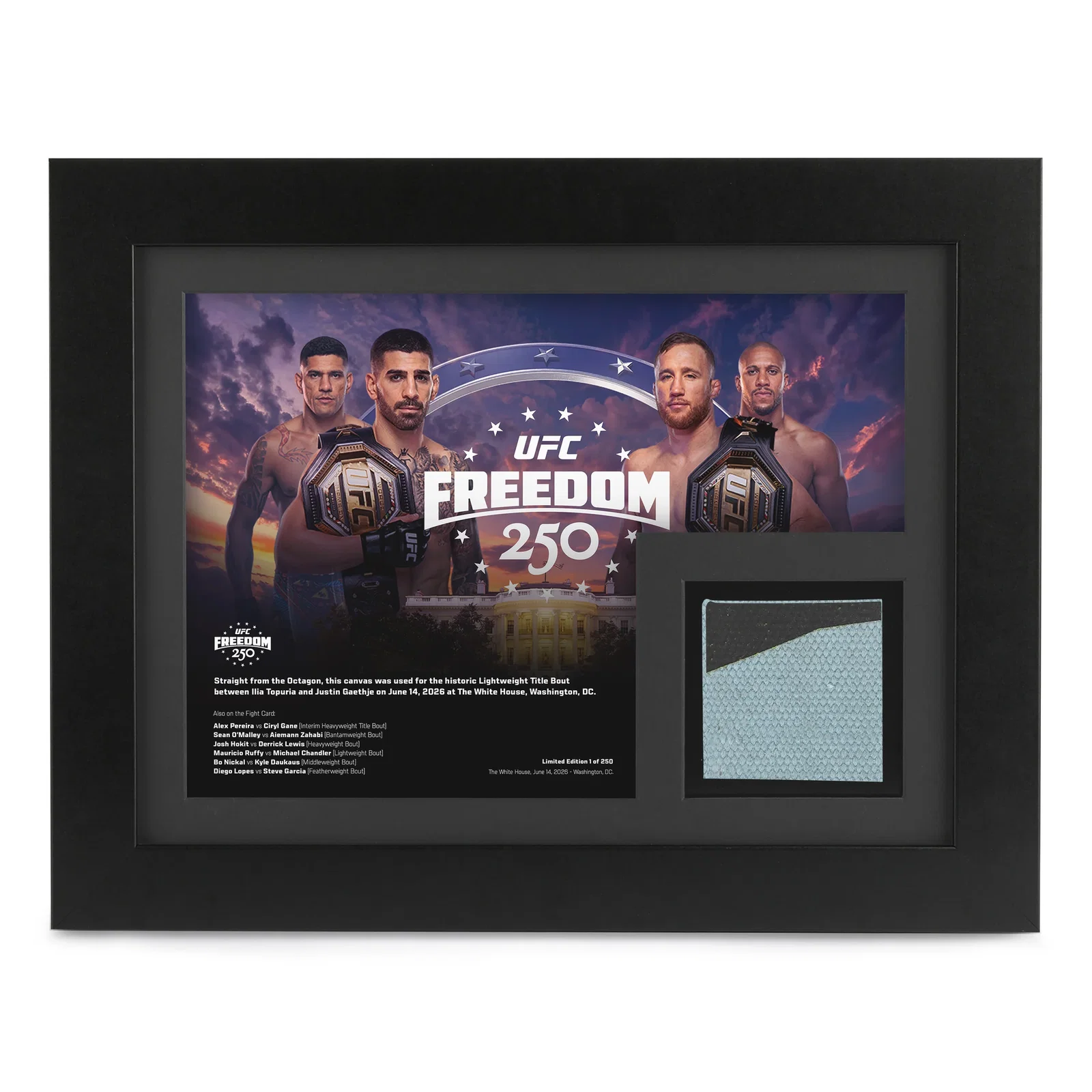 Image of UFC Freedom 250 Canvas & Photo