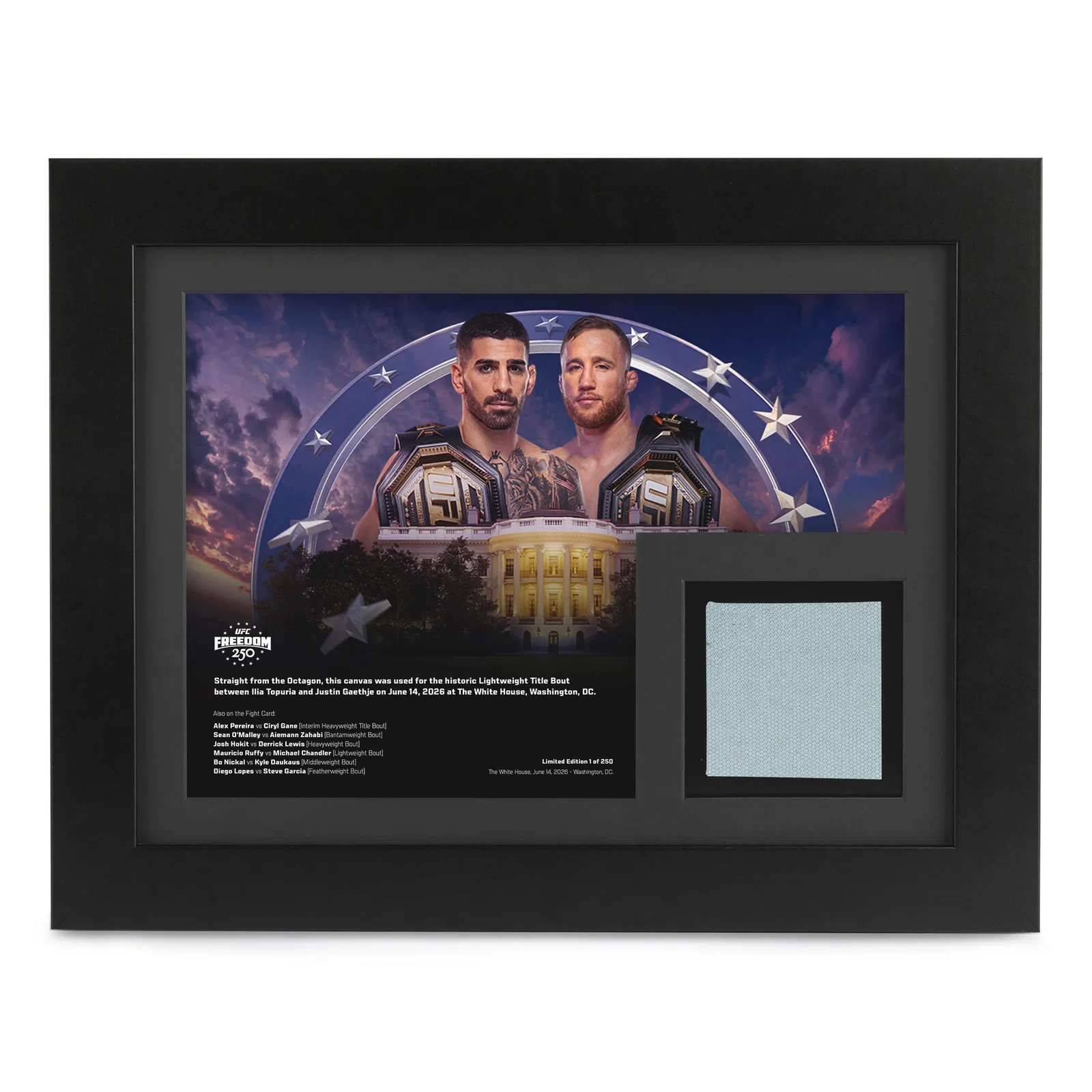 Image of Topuria vs Gaethje Canvas & Photo