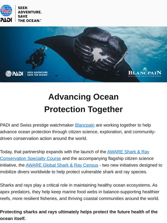 Every Shark Sighting Can Help Protect the Ocean