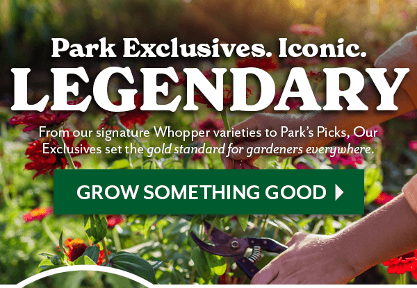 PARK EXCLUSIVES