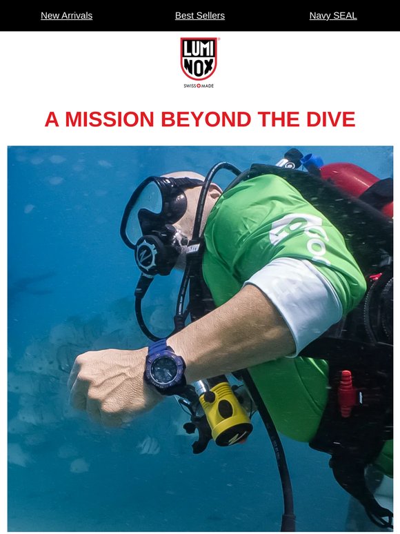 Purpose Beneath the Surface