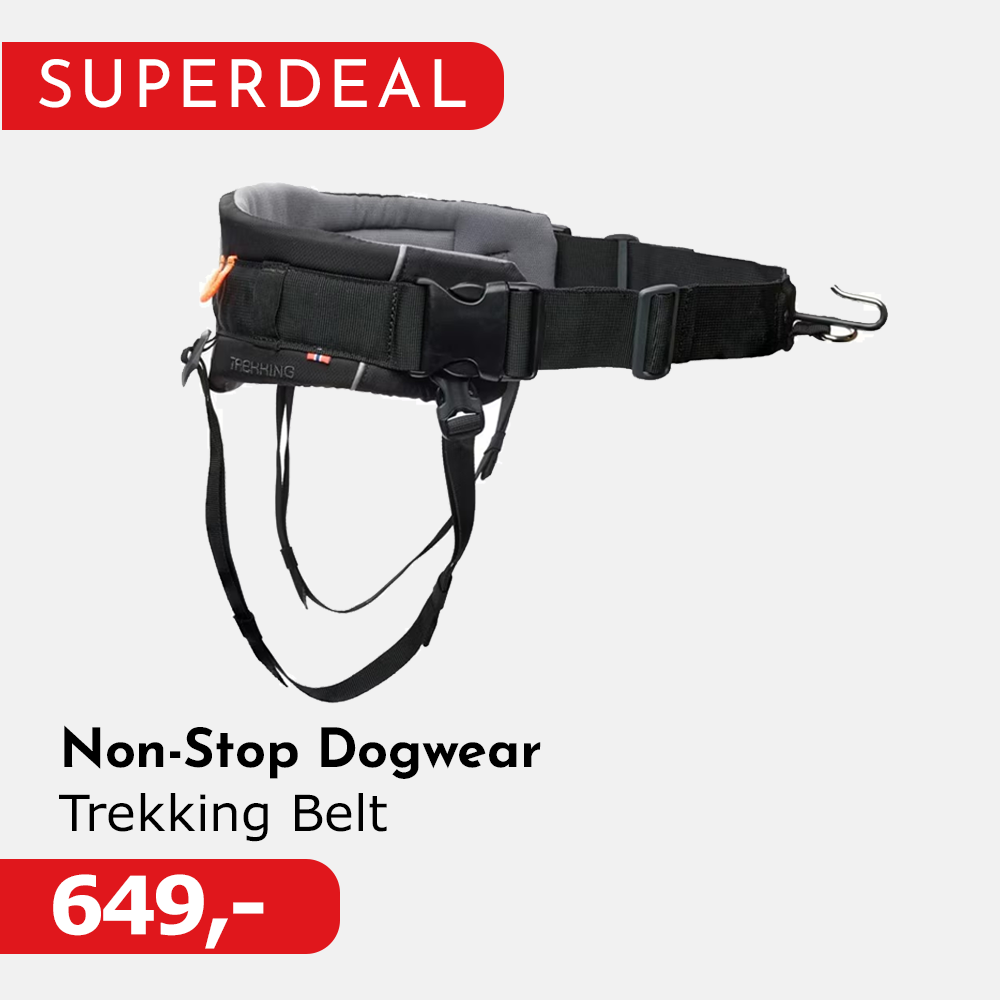 Osprey Sportlite 20L Dagstursekk
