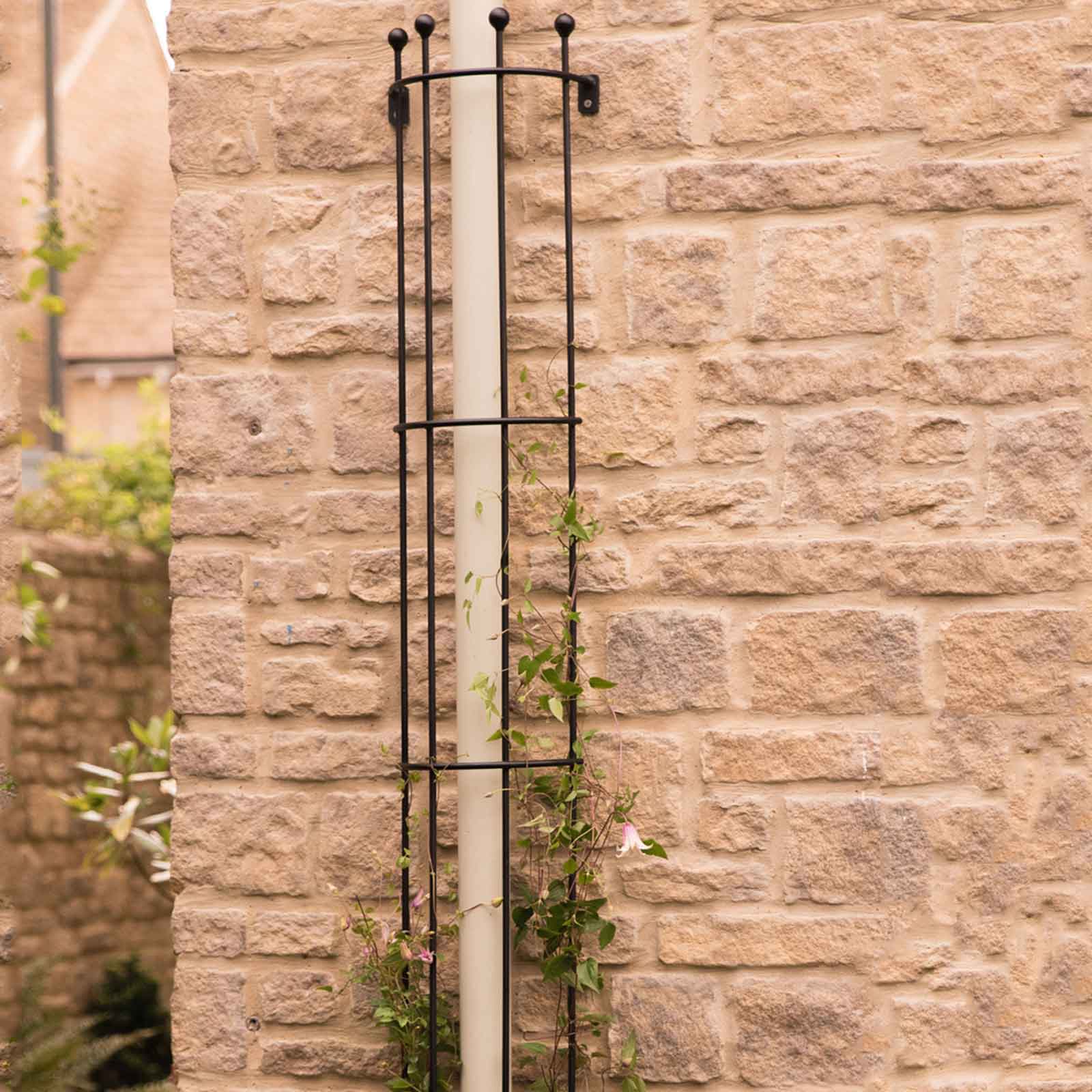 Drainpipe Trellis - Drainpipe Trellis (Matt Black) ARC-613