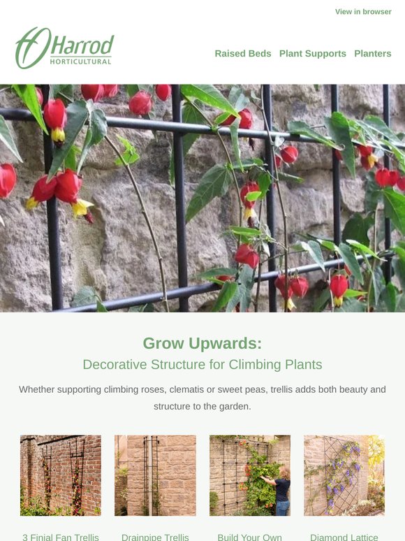🌞 Grow your garden beautifully this summer!
