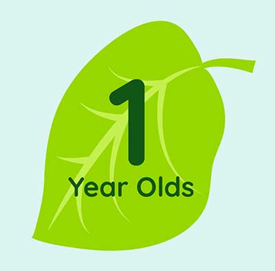 1 Year Olds