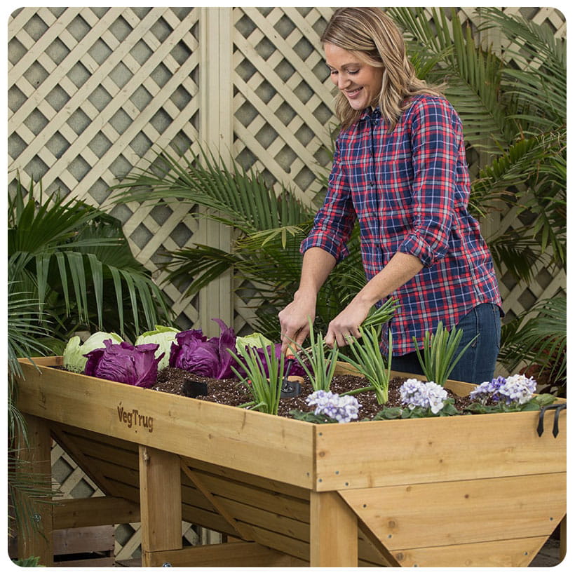 Seeds and Planting