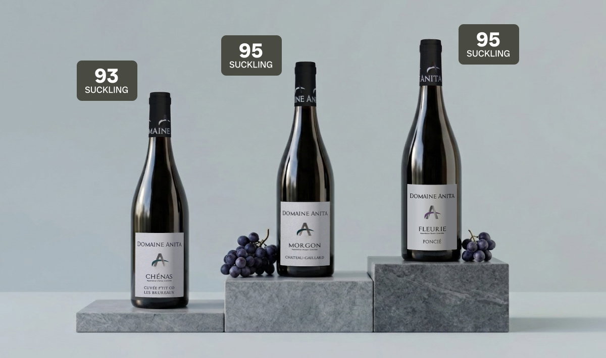 Domaine Anita