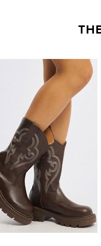Brown Ankle Boots