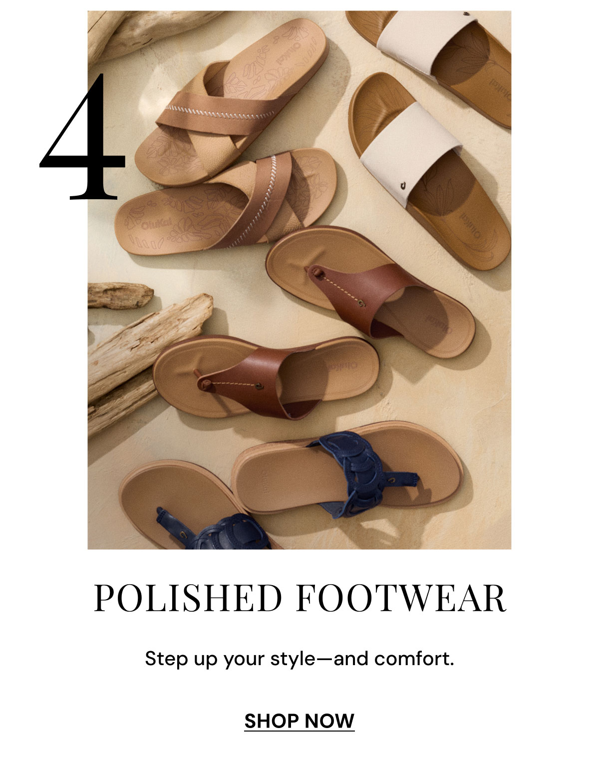 Polished Footwear