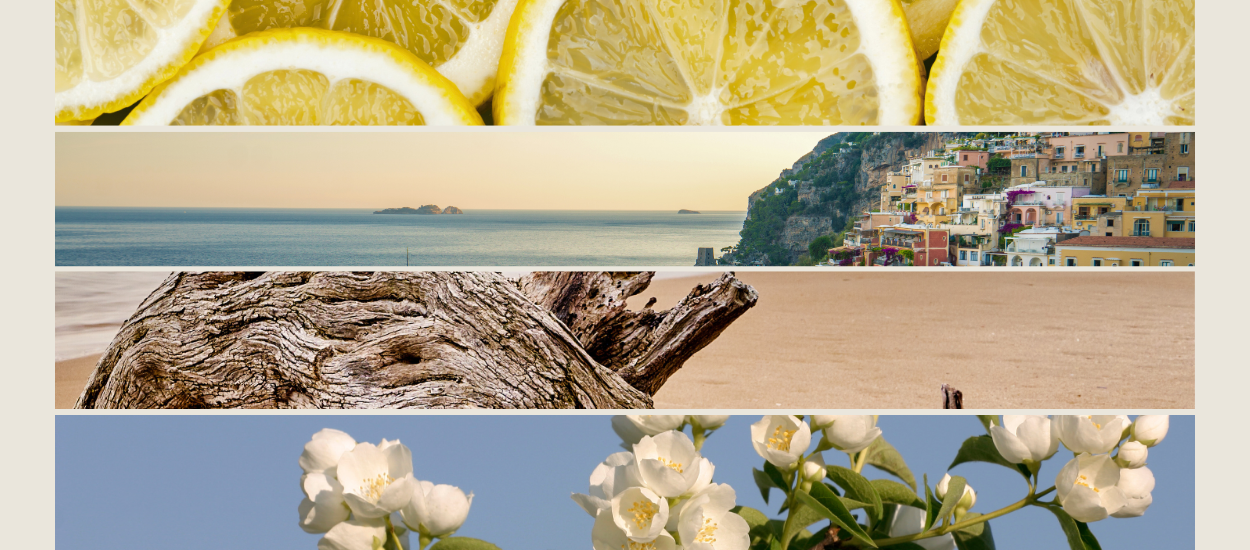 Shop Coastal Lemon