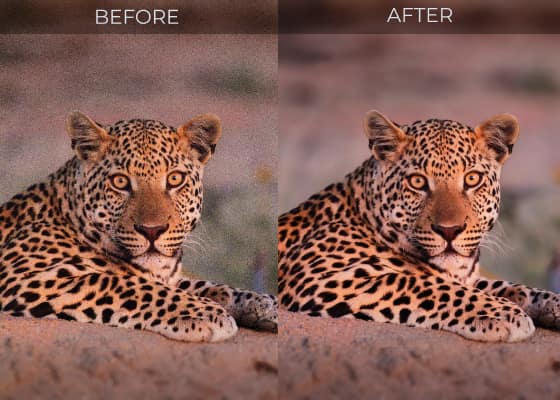 DeepPRIME noise reduction and advanced optical corrections deliver a higher level of image quality