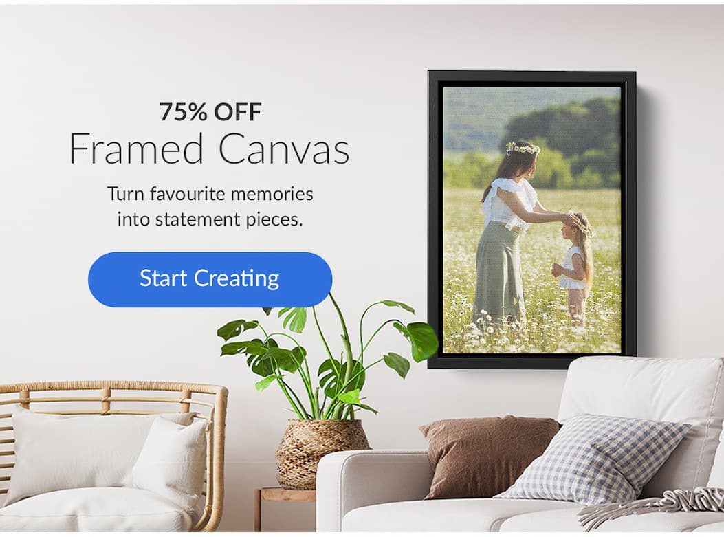 75% OFF Floating Frame Canvas