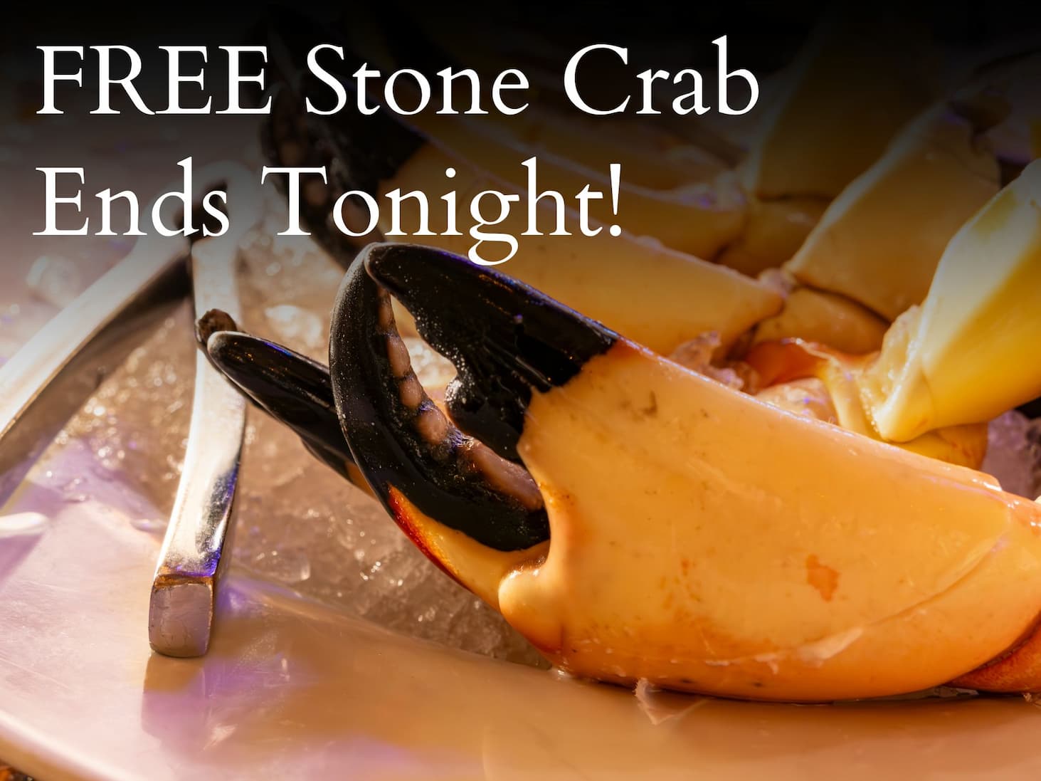FREE Mahi