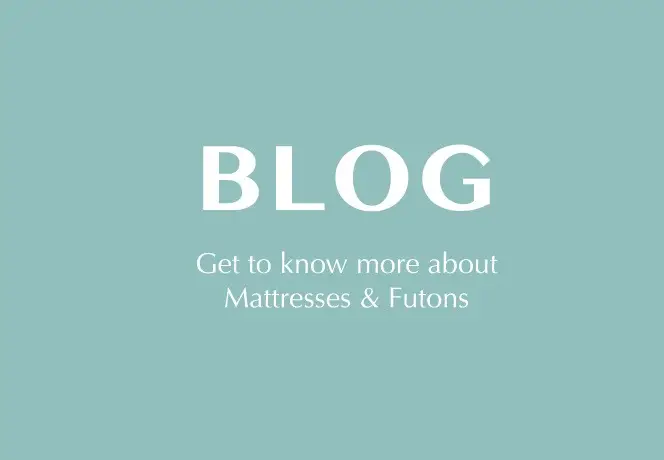 blog