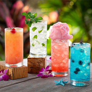 Paradise Nights Premium Drink Package