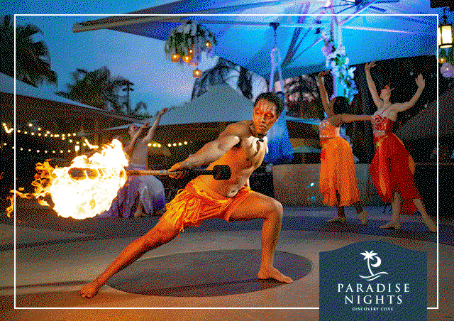 Discovery Cove Paradise Nights