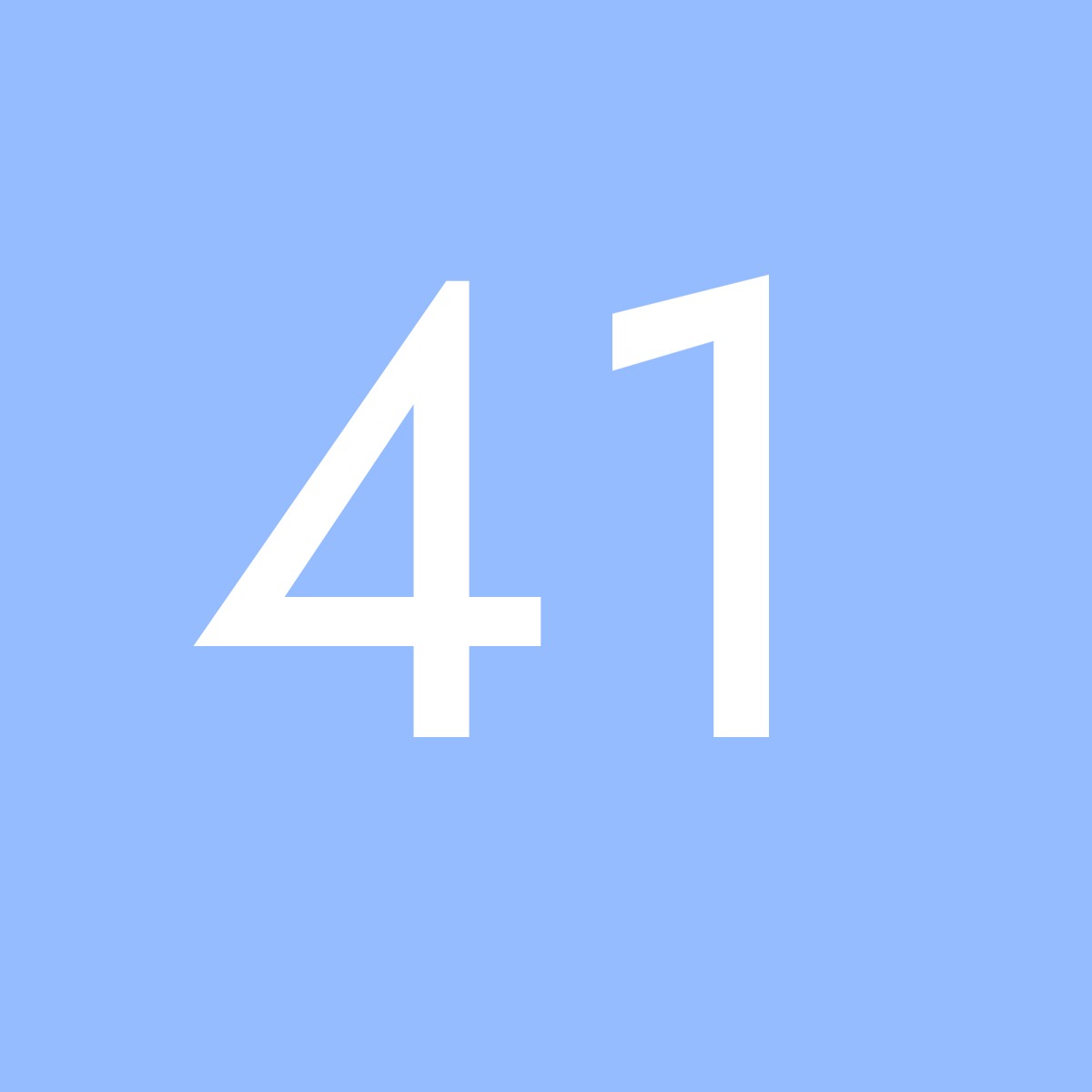 Größe 41 
